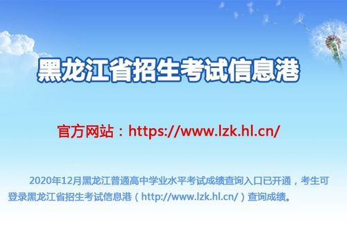 黑龙江招生考信息港：全面解析高考政策与招生动态